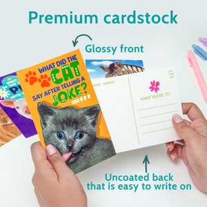 Pu&ograve; includere: Un set di cartoline con un fronte lucido e un retro non rivestito. Il fronte della cartolina presenta un gatto dei cartoni animati con il testo "What did the cat say after telling a joke?" Il retro della cartolina ha spazio per un messaggio e un indirizzo.