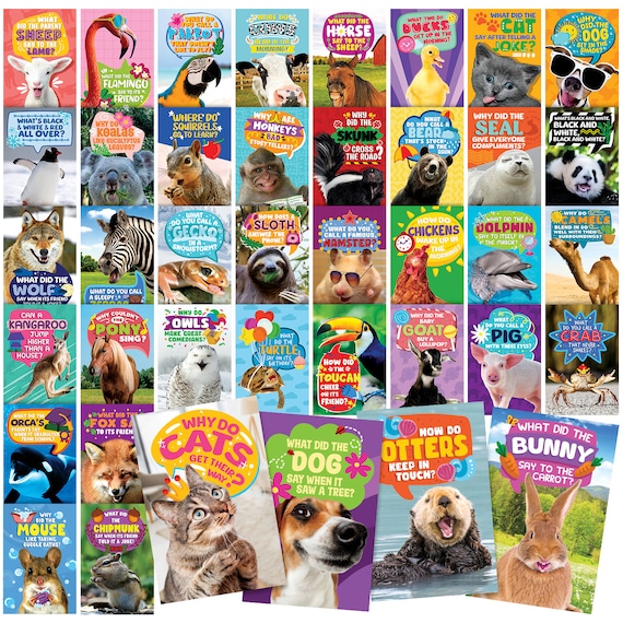 40 Funny Animal Joke Postcards with No Repeats - 4x6” Humorous Bulk Thinking of You Postcard for Kids, Grandkids, Students, Teacher and More