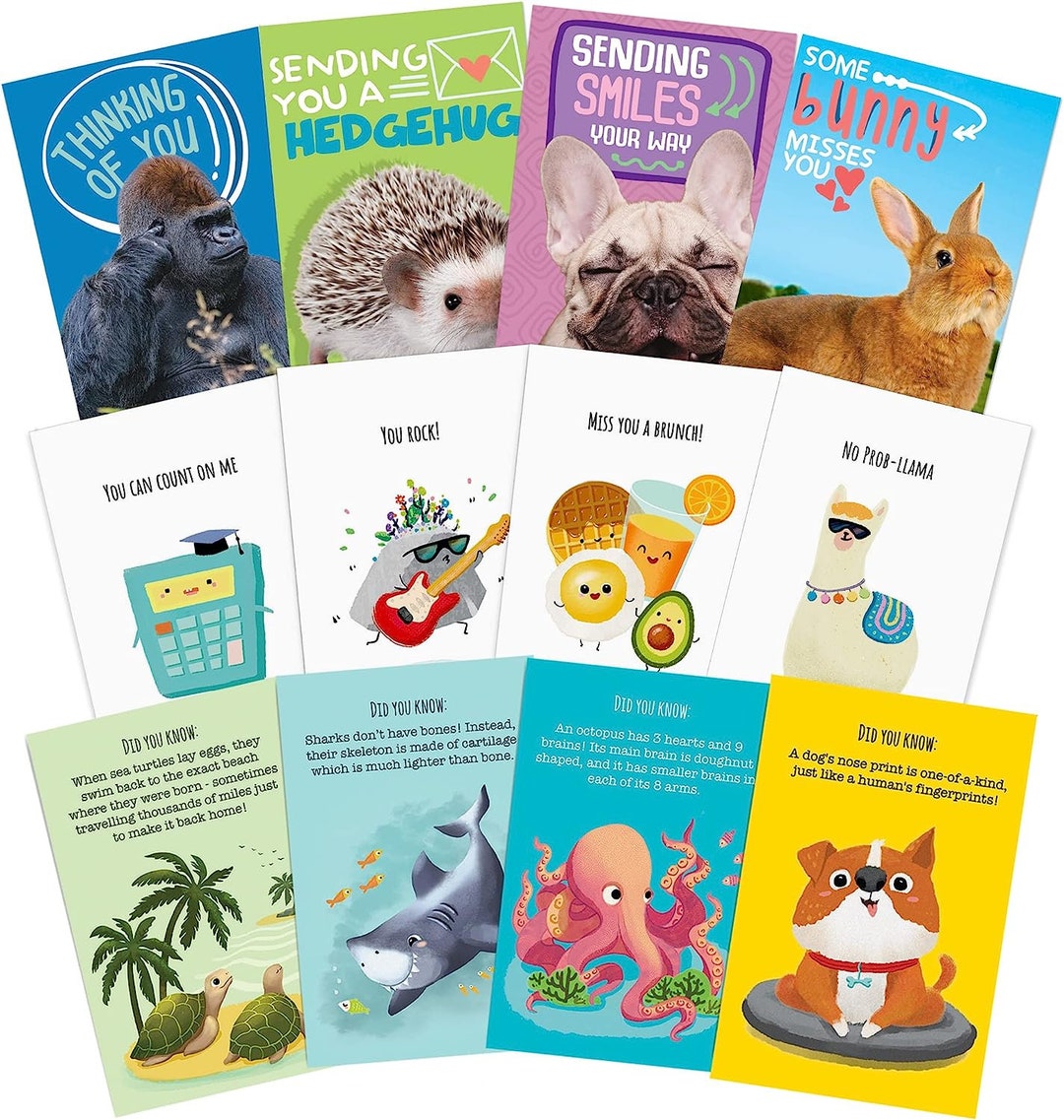 120 Postcards Bulk Pack Postcards for Kids, Family, Friends, Students