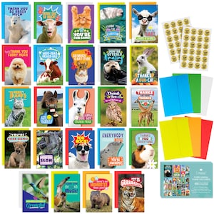 48 Funny Thank You Cards with Colorful Envelopes and Gold Stickers - Bulk 4x6” Boxed Set for Employee Appreciation Cards