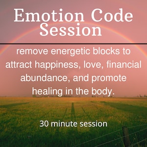 30 Minute Emotion Code Session.
