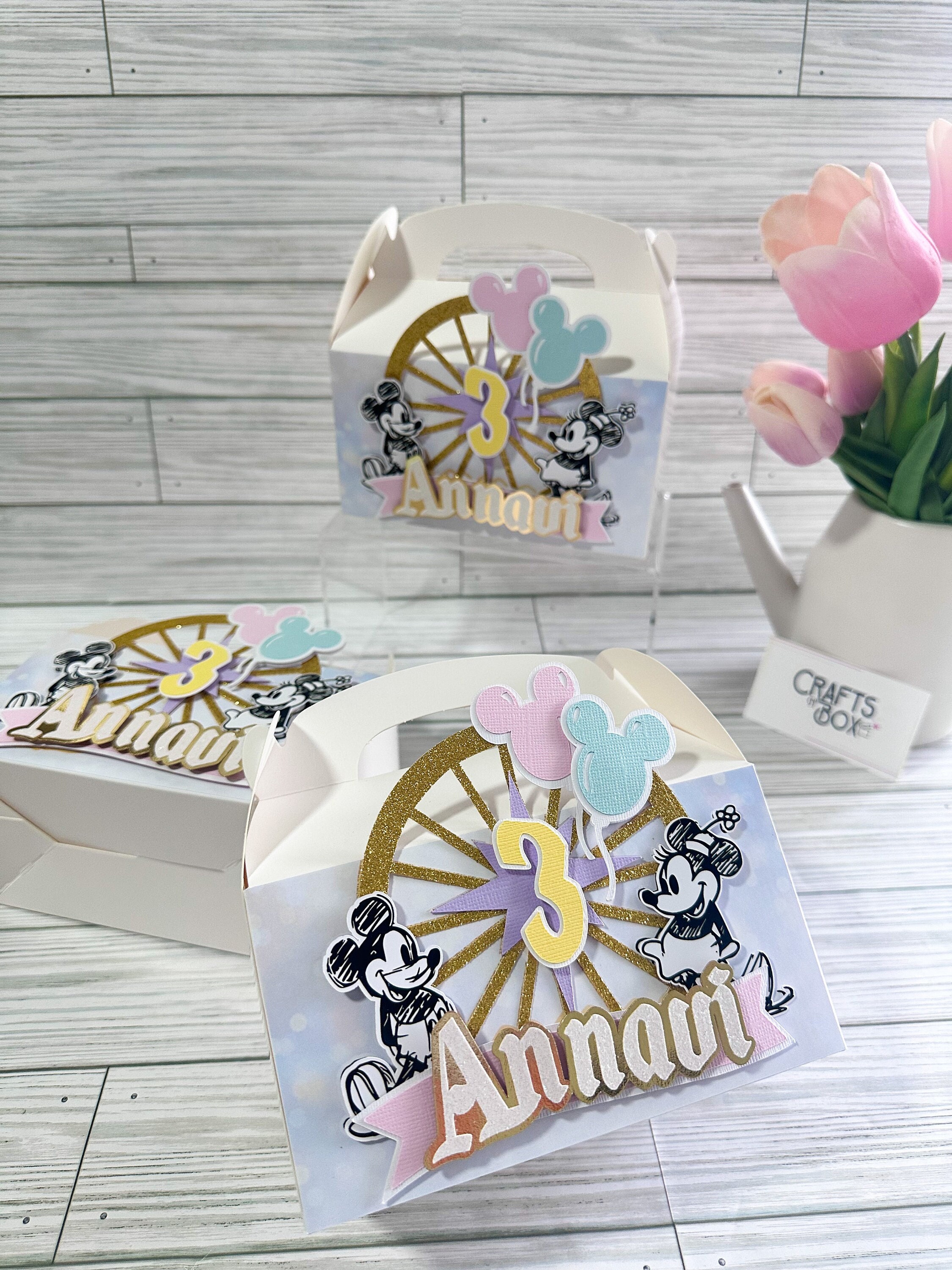 Disneyland Box/ Mickey Mouse Vintage/ Minnie mMouse Vintage/ Disneyland Party Box/ Disneyland Birthday