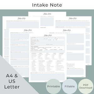 May include: A collection of printable and fillable intake note templates in US Letter and A4 sizes. The templates include sections for client information, safety assessments, and more. The design is simple and professional, with a PDF download option.