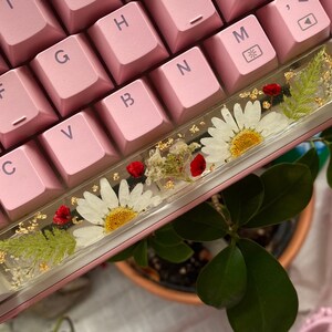 Real Flower Space Bar