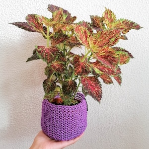 Colorful Crochet Planter - N.est Lilac | Handmade Basket | Handmade Gift | Colorful Storage | Fun Home Decor | Gift for Plant Lovers