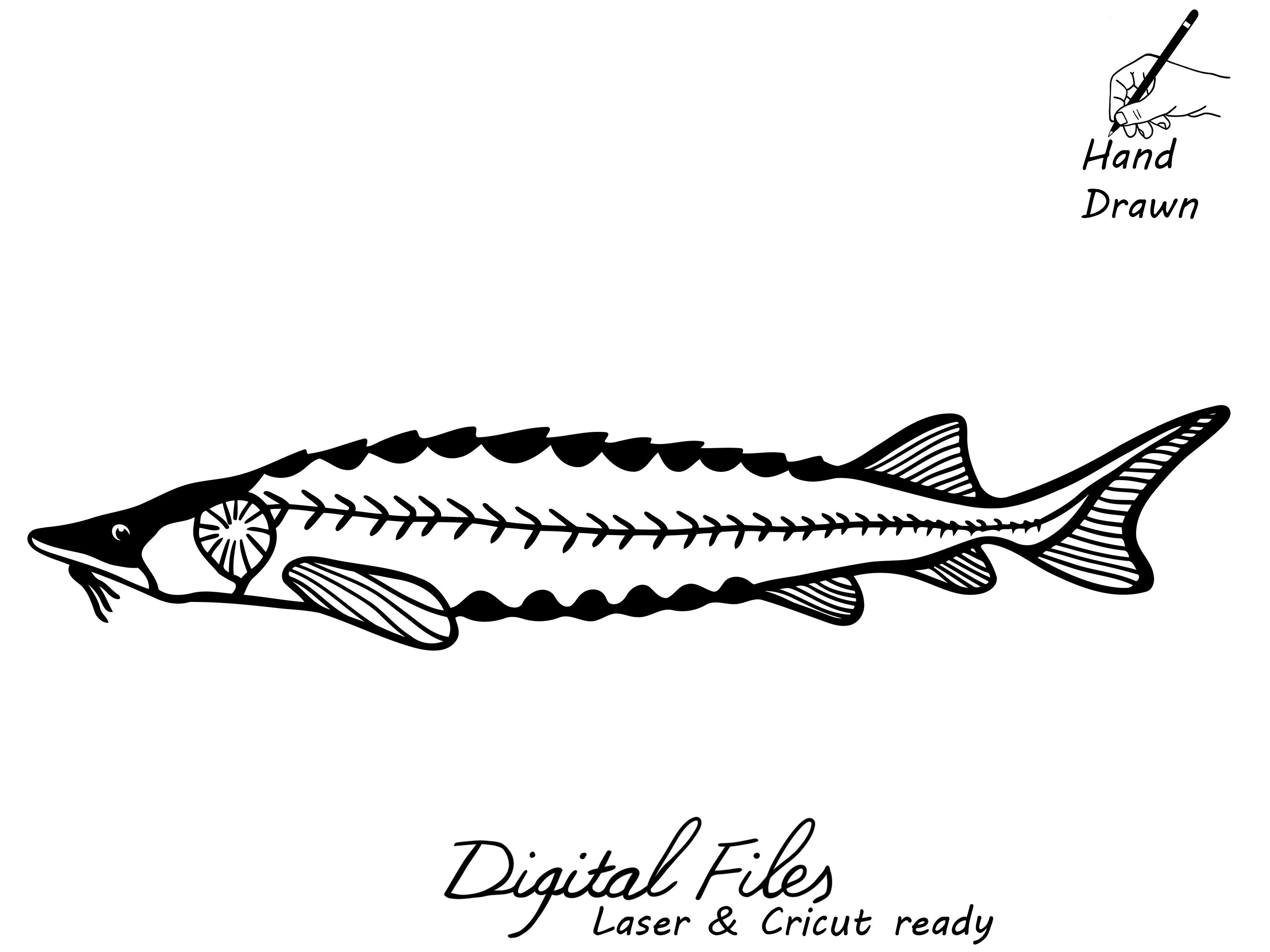 Lake Sturgeon Hand Drawn SVG Clipart, Laser Cut Sturgeon DXF, Cnc Cut