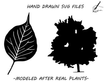 Osage orange leaf and tree hand drawn SVG DXF, Osage  stencil, Osage  engraving, Osage  scroll saw, Osage  vector, Osage  drawing