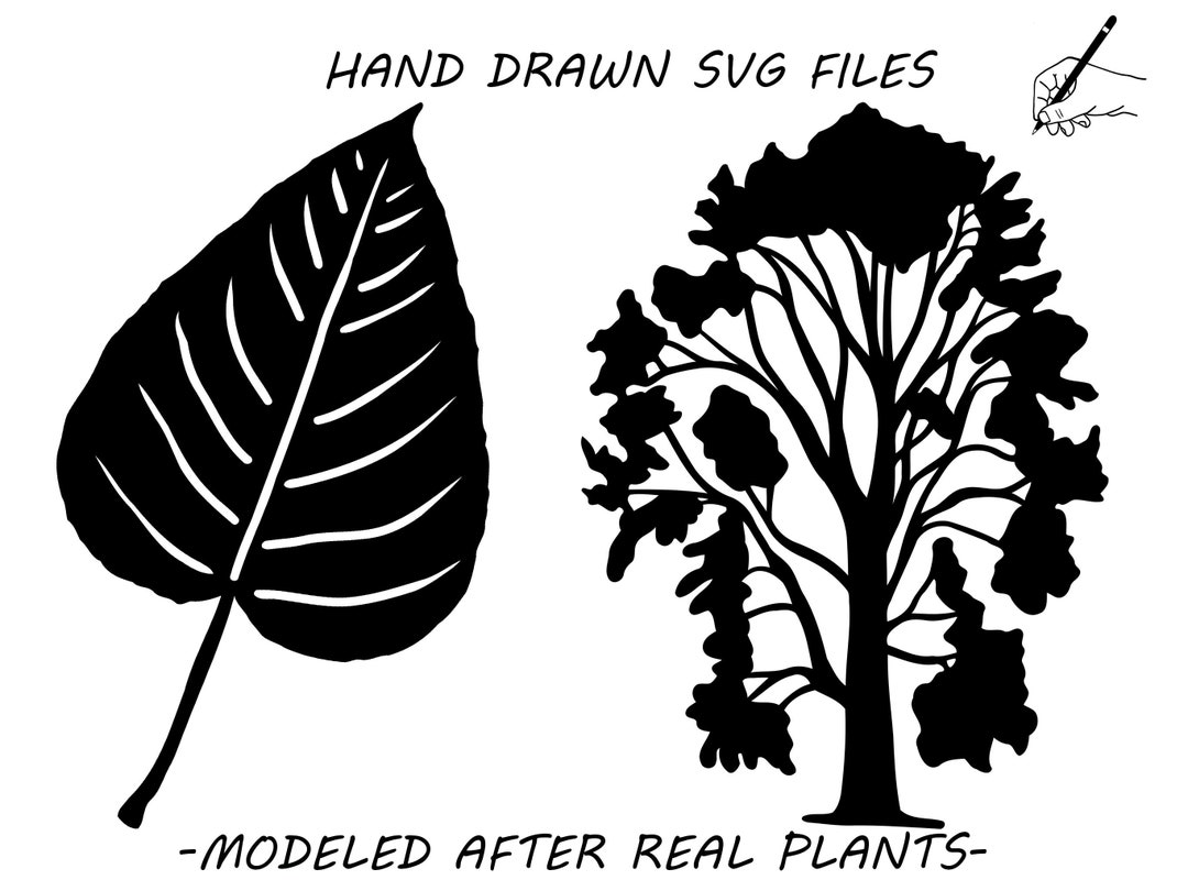 Cottonwood Leaf and Tree Hand Drawn SVG DXF, Cottonwood Stencil Etsy