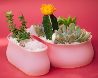 Maceta para suculentas con forma de S ondulada: diseño de garabatos rojos y rosas