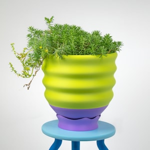 May include: A green and purple ceramic planter with a wavy design sits on a blue stool. The planter is filled with a green succulent plant.