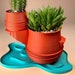 see more listings in the Planters section