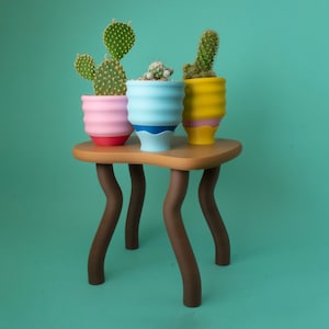 Fun Brown Plant Stand - Small 3D Printed Display - Funky Original Design