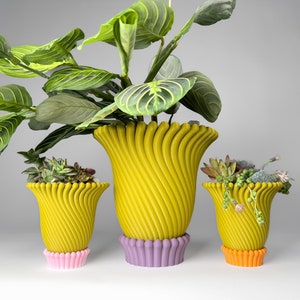 May include: Three yellow ceramic planters with a swirl design. The planters have different colored bases: pink, purple, and orange. The planters are filled with green plants.