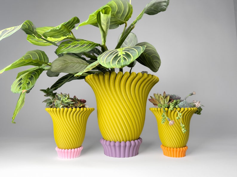 May include: Three yellow ceramic planters with a swirl design. The planters have different colored bases: pink, purple, and orange. The planters are filled with green plants.