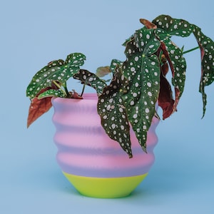 Fun Wavy Bright Planter - Maximalist Dopamine Decor 7.5&quot; Pink and Lime - Cute Colorful Fun Funky Eclectic Quirky