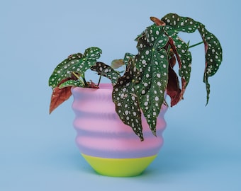 Fun Wavy Bright Planter - Maximalist Dopamine Decor 7.5" Pink and Lime - Cute Colorful Fun Funky Eclectic Quirky