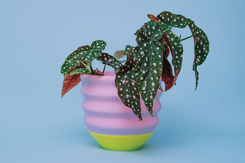 Fun Wavy Bright Planter Maximalist Dopamine Decor 7.5 Pink and Lime Cute Colorful Fun Funky Eclectic Quirky image 1