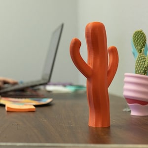 The Saguiggle Cactus Cute Orange Tchotchke Dopamine Decor Funky Weird Fun image 10