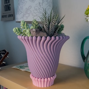 May include: A purple ceramic planter with a unique swirl design and a pink base. The planter is filled with a variety of succulents, including a zebra plant.