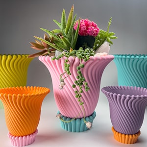 May include: Five colorful ceramic planters with a unique swirl design. The planters are in shades of yellow, orange, pink, teal, and purple. The pink planter has a succulent plant inside.