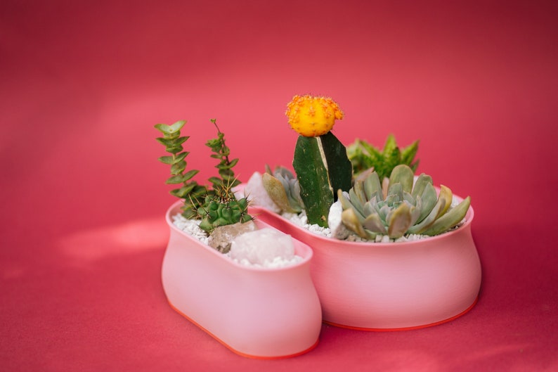 Squiggle Planter for Succulent Arrangement Red Pink Colorway Made Different By Queers in Texas image 1