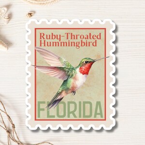 Hummingbird Sticker - Florida Bird Stickers Coastal Wildlife Colorful Hummingbird Decal Stamp Cute Nature Lover Gifts Nature Outdoors Vinyl