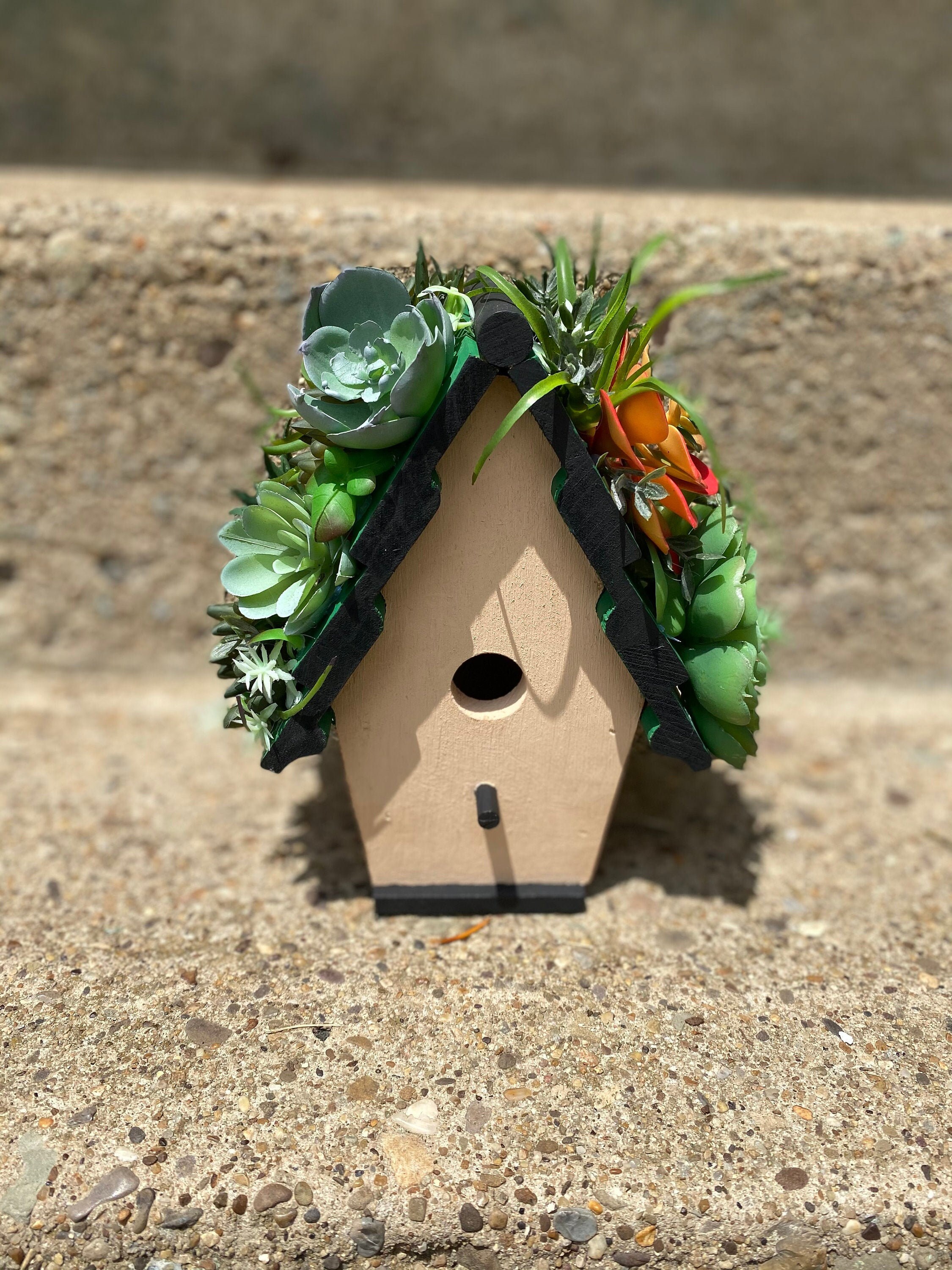 Succulent Birdhouse