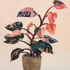 Pink Princess Philodendron Painting