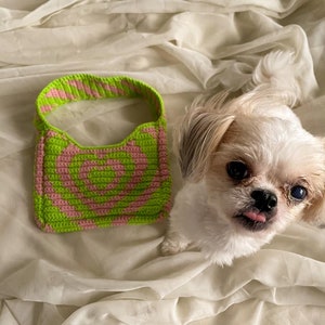 May include: A green and pink crocheted dog collar with a white dog looking at the camera.