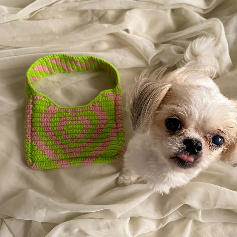 May include: A green and pink crocheted dog collar with a white dog looking at the camera.