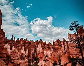 Digital Print of Bryce Canyon, in Southern Utah