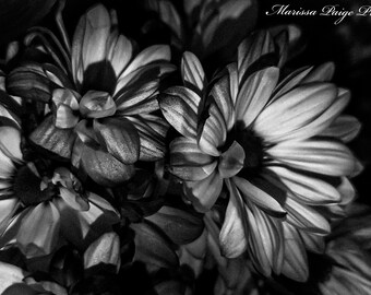 Black and White Daisy Digital Downloads, Printable Flower Art, Instant Download, Floral Wall Decor, Modern Home Decor