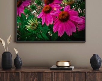Floral Coneflower Digital Art, Botanical Wall Decor, Printable Flower Art, Nature Digital Download, Instant Printable File