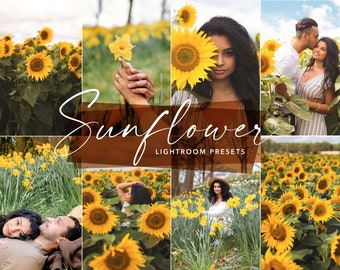 10 ajustes preestablecidos de girasol en Lightroom para dispositivos móviles y computadoras de escritorio, ajustes preestablecidos de primavera, ajustes preestablecidos naturales, ajustes preestablecidos de Blogger, ajustes preestablecidos de escritorio, Instagram