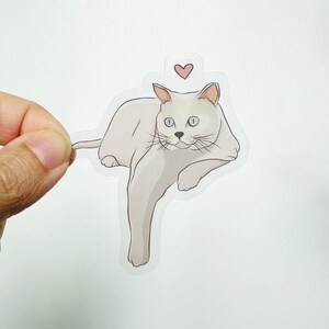 Pegatina de corazón de gato // Vinilo brillante, resistente al agua, ideal para regalo de cumpleaños, recuerdo de fiesta, bolsa de sorpresas, tarjeta de regalo, ilustración, venta al por mayor