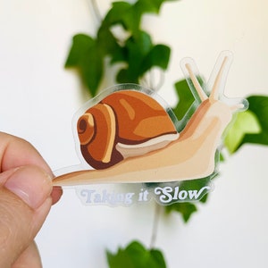 Pode incluir: Um adesivo transparente com uma ilustração de desenho animado de um caracol e o texto "Taking it Slow" em uma fonte retrô.