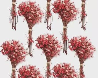 Mini flores rojas secas para manualidades y decoración, 10 ramos pequeños para mesa, flores para proyectos de bricolaje, decoración floral de mesa, decoración de estilo bohemio.