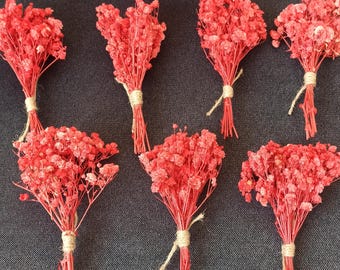 Mini Dried Red Flowers for Crafts and Decor,10 Small Flower Bouquet for Table,Flower for DIY Project,Floral Table Decor,Boho Styling Decor