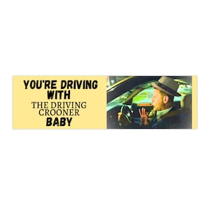 Tim Robinson sticker, Driving Crooner Bumper Sticker, I think you should leave sticker