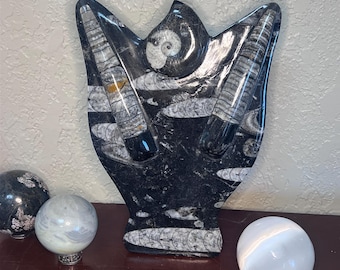 Large Orthoceras Decorative Carving | Fossil Stone Display | Ancient Nautiloid Fossil