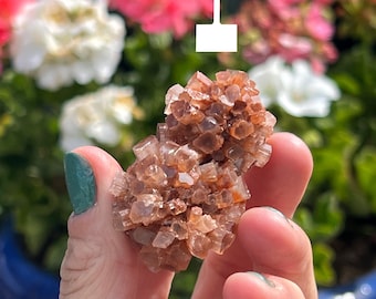Aragonite Star Cluster: Raw Healing Crystal for Grounding & Meditation