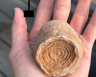 Stromatolite from Morocco