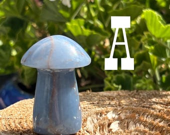 Onyx Mushroom Blue Onyx