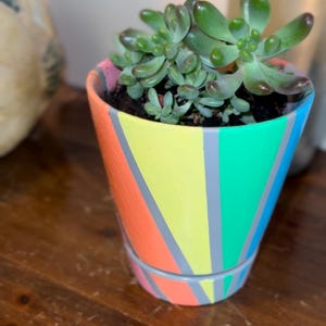 Maceta pintada a mano con plato de drenaje adjunto y planta suculenta viva: hermosa y única maceta de cerámica de colores del arco iris con suculentas