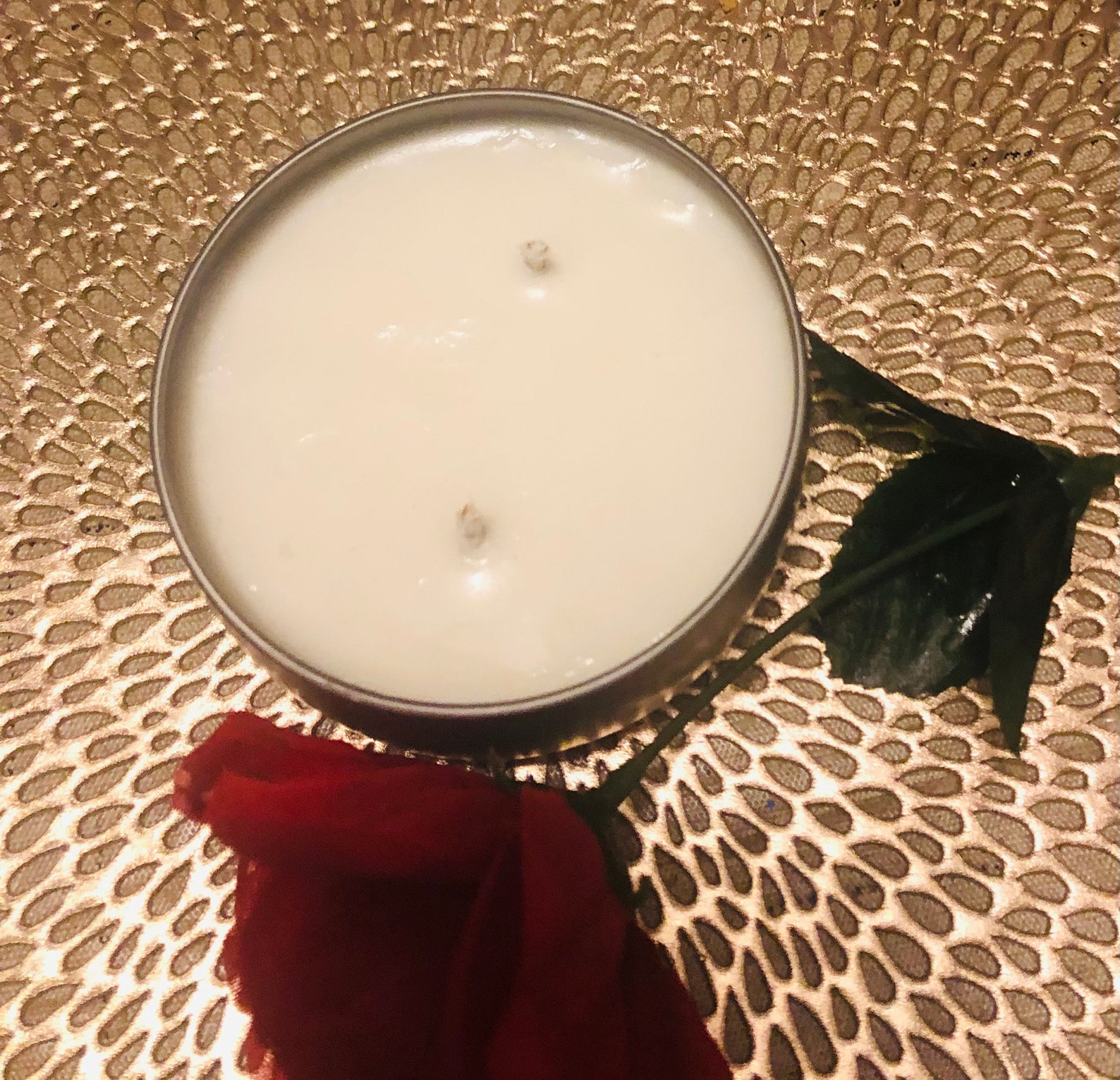 Indoor/Outdoor Mosquito Repellent Candle Etsy