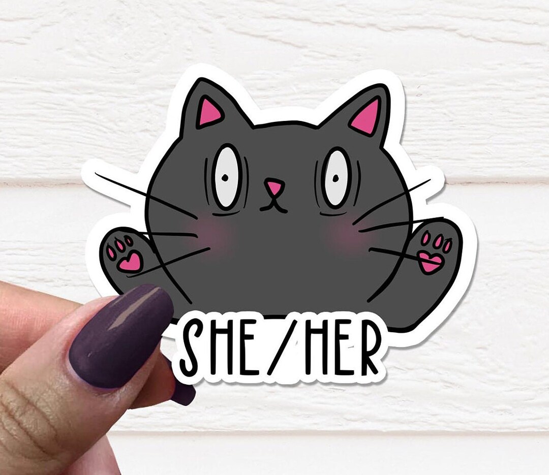 Pronoun Cat Vinyl Sticker Pronoun Vinyl Sticker Cat Vinyl Etsy