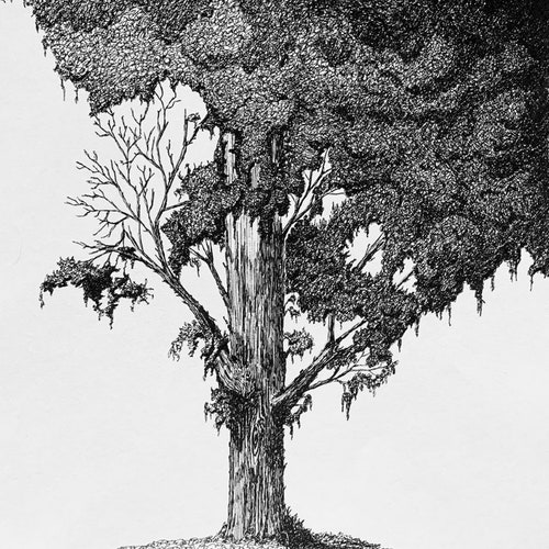 Abstract Pen and Ink Design Lampshade Etsy