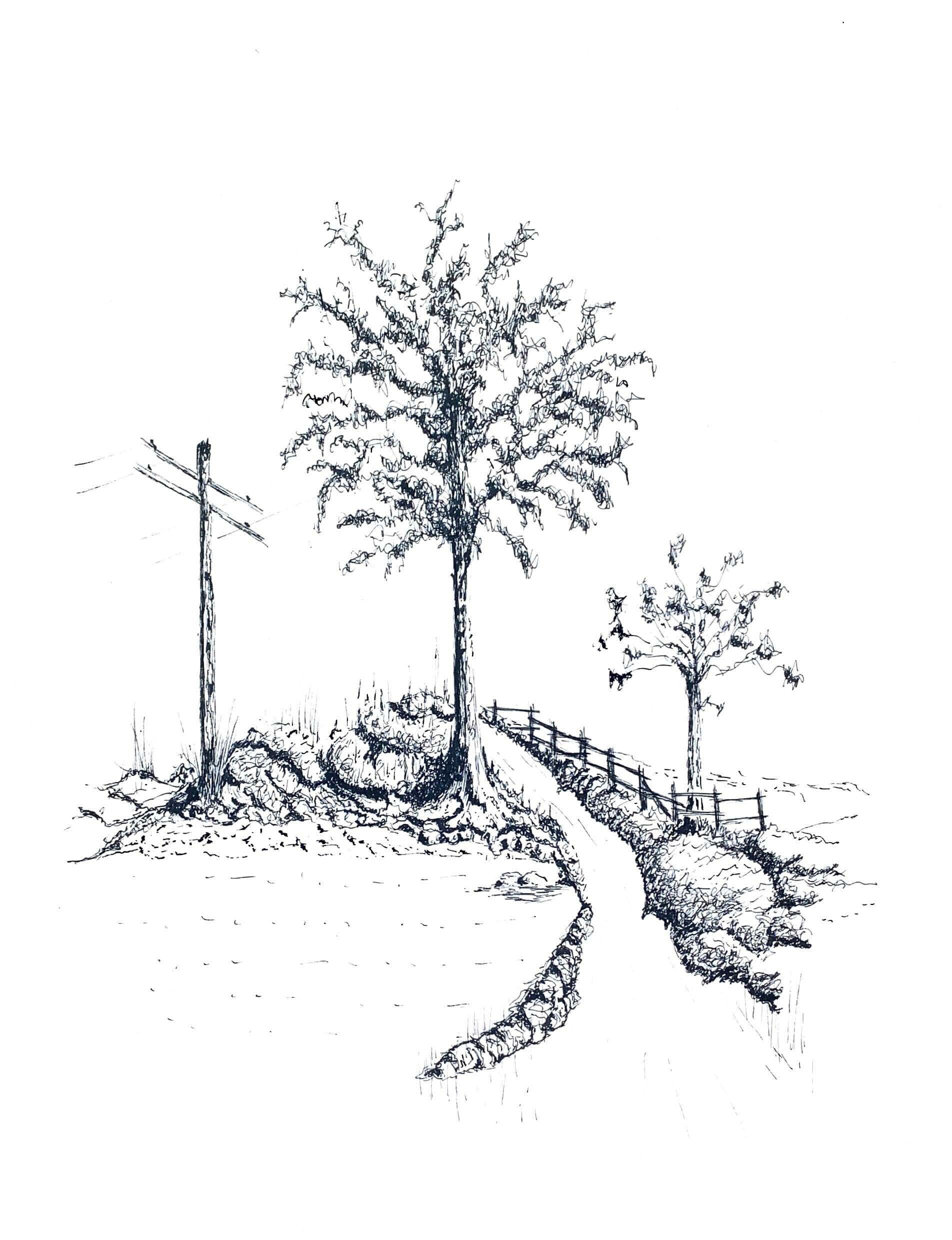 Landscape Pen and Ink | Etsy