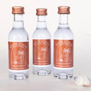 Meet Me In Tulum, Bachelorette Shooter Labels, Bachelorette Party Favors, Custom Bachelorette Shooters, Custom Shooter Labels