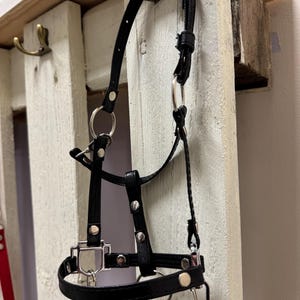 Realistic Leather Halter with Reins - Adjustable, Black for A3 & A4 Hobby Horse - Premium Quality Equestrian Gear